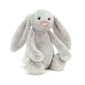 Lapin argenté timide