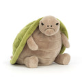 Timmy Tortue
