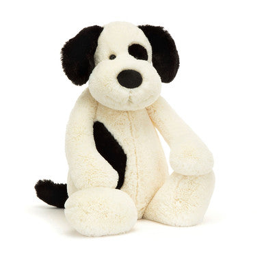 Chiot timide noir et crème