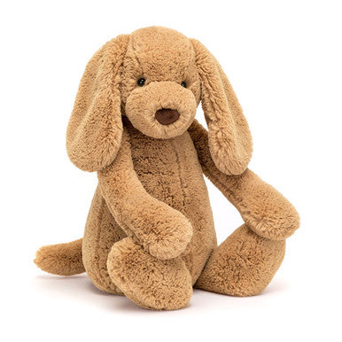 Chiot timide au caramel