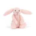 Lapin rose timide
