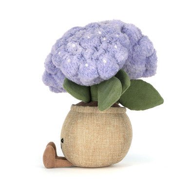 Hortensia amusants