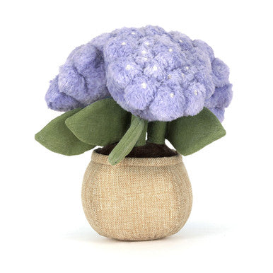 Hortensia amusants