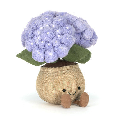 Hortensia amusants