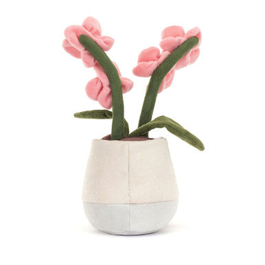 Orchidée rose Amuseables