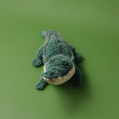 Allexi Alligator