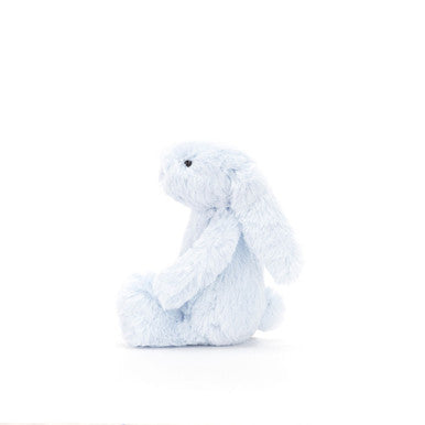 Lapin bleu timide