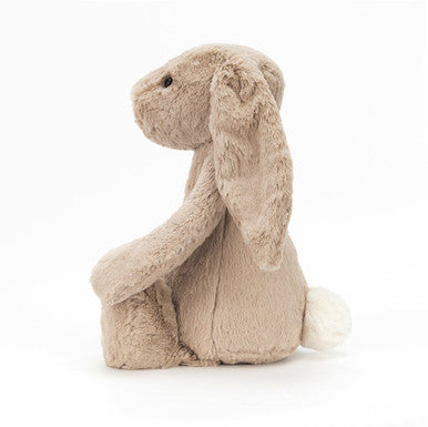 Lapin beige timide