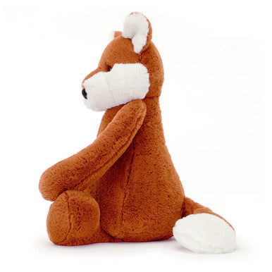 Renard timide