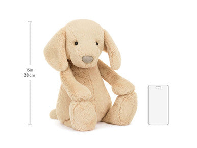 Timide Luxe Chiot Orlando