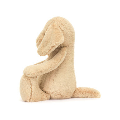 Timide Luxe Chiot Orlando