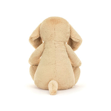 Timide Luxe Chiot Orlando