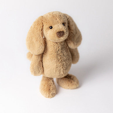 Chiot timide au caramel