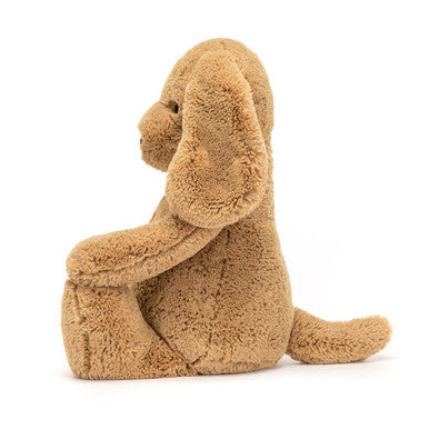 Chiot timide au caramel