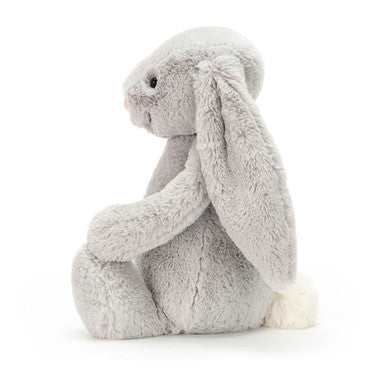 Lapin argenté timide