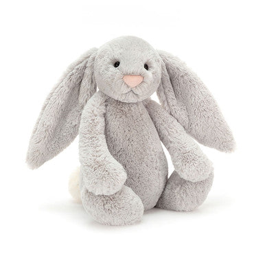 Lapin argenté timide