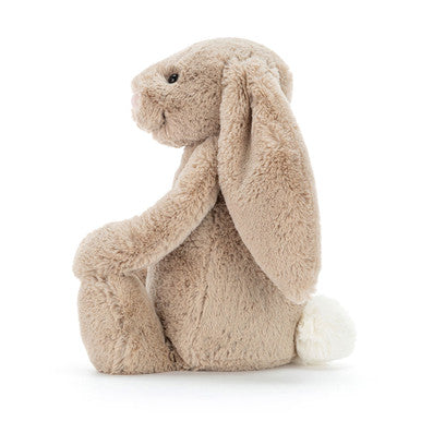 Lapin beige timide