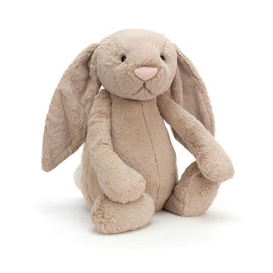 Lapin beige timide