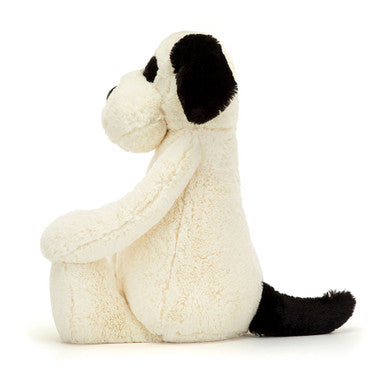 Chiot timide noir et crème