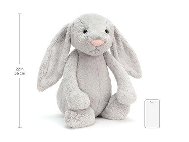 Lapin argenté timide