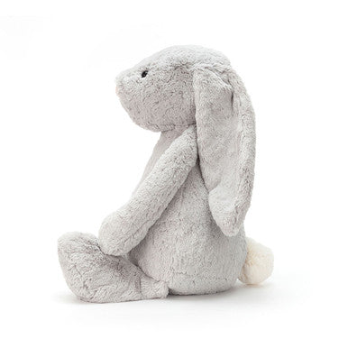 Lapin argenté timide