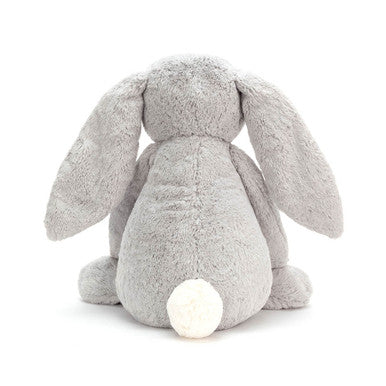 Lapin argenté timide