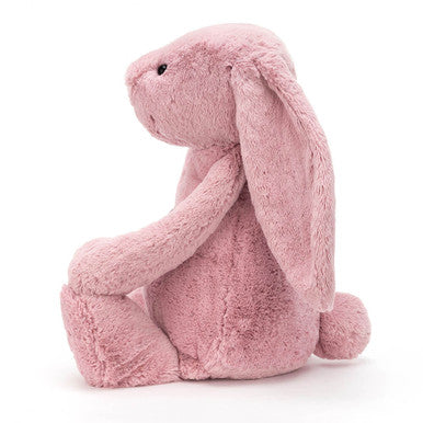 Lapin rose tulipe timide