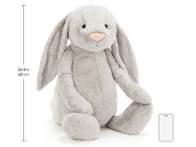 Lapin argenté timide