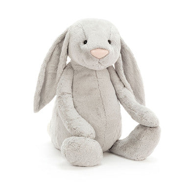 Lapin argenté timide