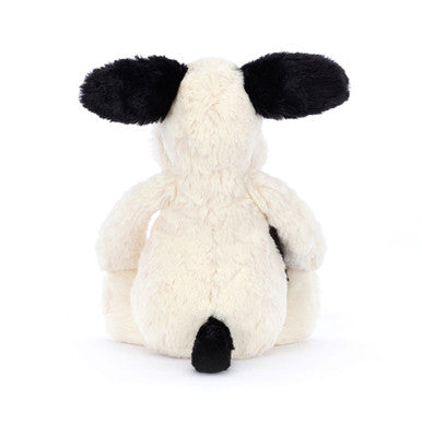 Chiot timide noir et crème