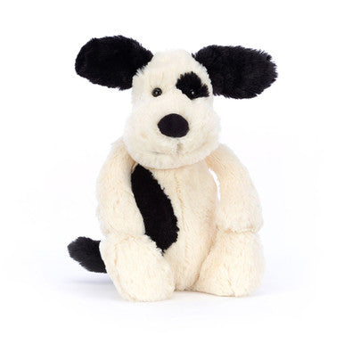 Chiot timide noir et crème