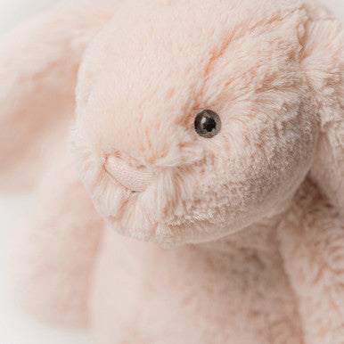 Lapin timide et blush