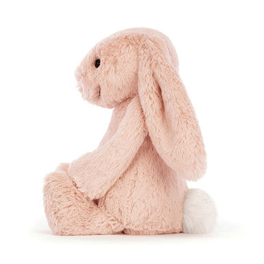 Lapin timide et blush