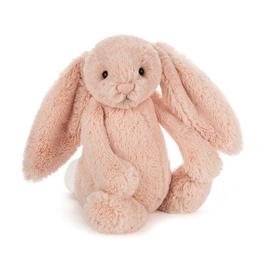 Lapin timide et blush