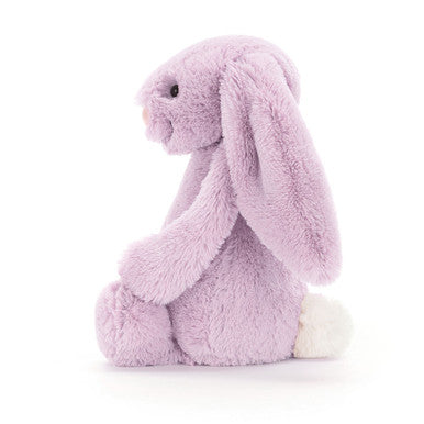 Lapin lilas timide