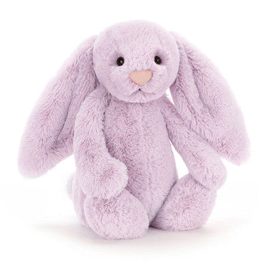 Lapin lilas timide