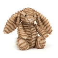 Genévrier lapin Bashful Luxe