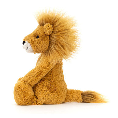 Lion timide