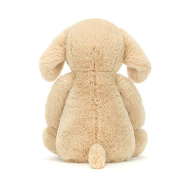 Timide Luxe Chiot Orlando