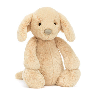 Timide Luxe Chiot Orlando
