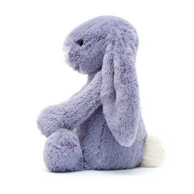 Lapin alto timide