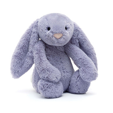 Lapin alto timide