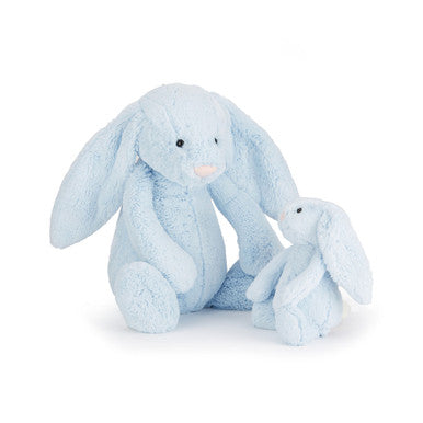 Lapin bleu timide