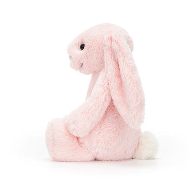 Lapin rose timide