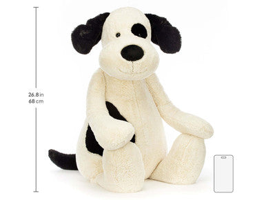 Chiot timide noir et crème