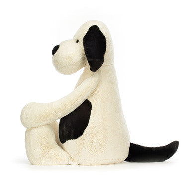 Chiot timide noir et crème