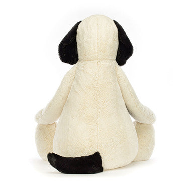Chiot timide noir et crème