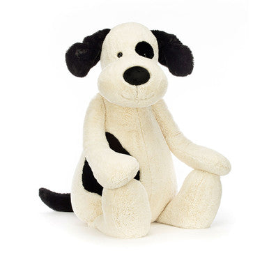 Chiot timide noir et crème