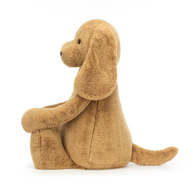 Chiot timide au caramel