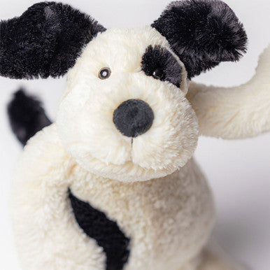 Chiot timide noir et crème